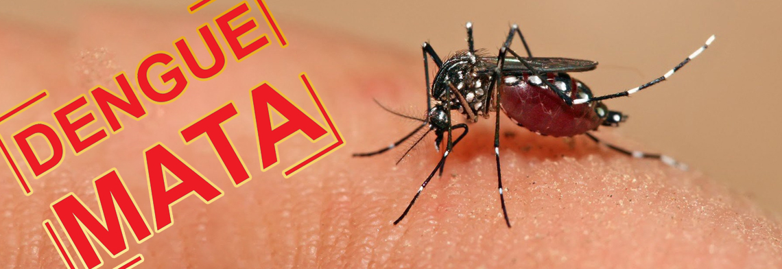 ALERTA MÁXIMO: PORTO VELHO É UMA DAS CAPITAIS QUE PODE TER SURTO DE DENGUE NOS PRÓXIMOS MESES - News Rondônia