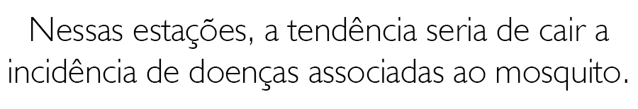 ALERTA MÁXIMO: PORTO VELHO É UMA DAS CAPITAIS QUE PODE TER SURTO DE DENGUE NOS PRÓXIMOS MESES - News Rondônia