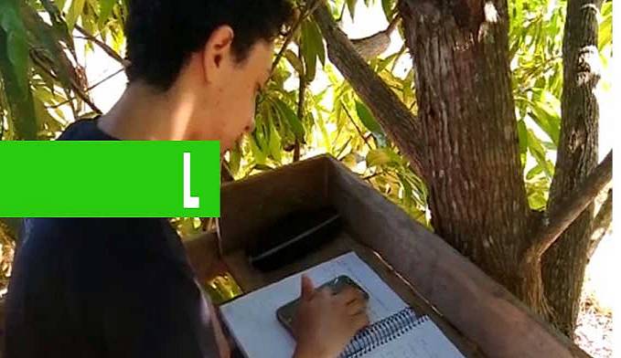 CRIATIVIDADE: PAIS CONSTROEM SALA DE AULA NO TOPO DE ÁRVORE PARA FILHOS CONSEGUIREM PEGAR SINAL DE INTERNET E ESTUDAR - News Rondônia