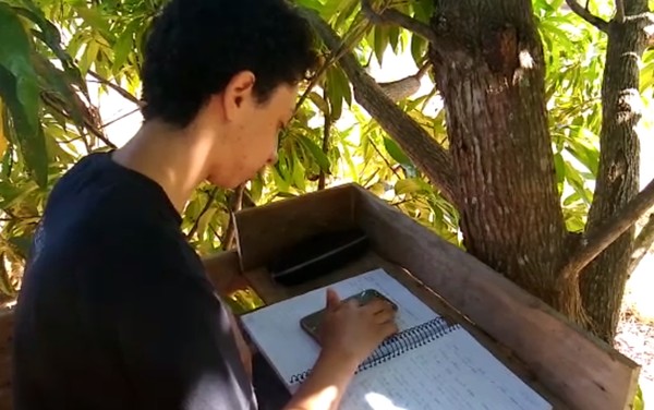 CRIATIVIDADE: PAIS CONSTROEM SALA DE AULA NO TOPO DE ÁRVORE PARA FILHOS CONSEGUIREM PEGAR SINAL DE INTERNET E ESTUDAR - News Rondônia