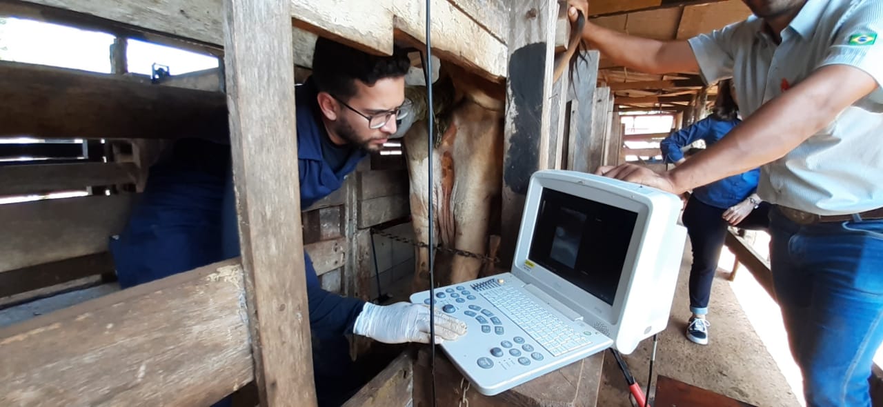 LEITE - INOVAÇÃO NO MEIO RURAL SEBRAETEC SUBSIDIA 70% DOS CUSTOS - News Rondônia