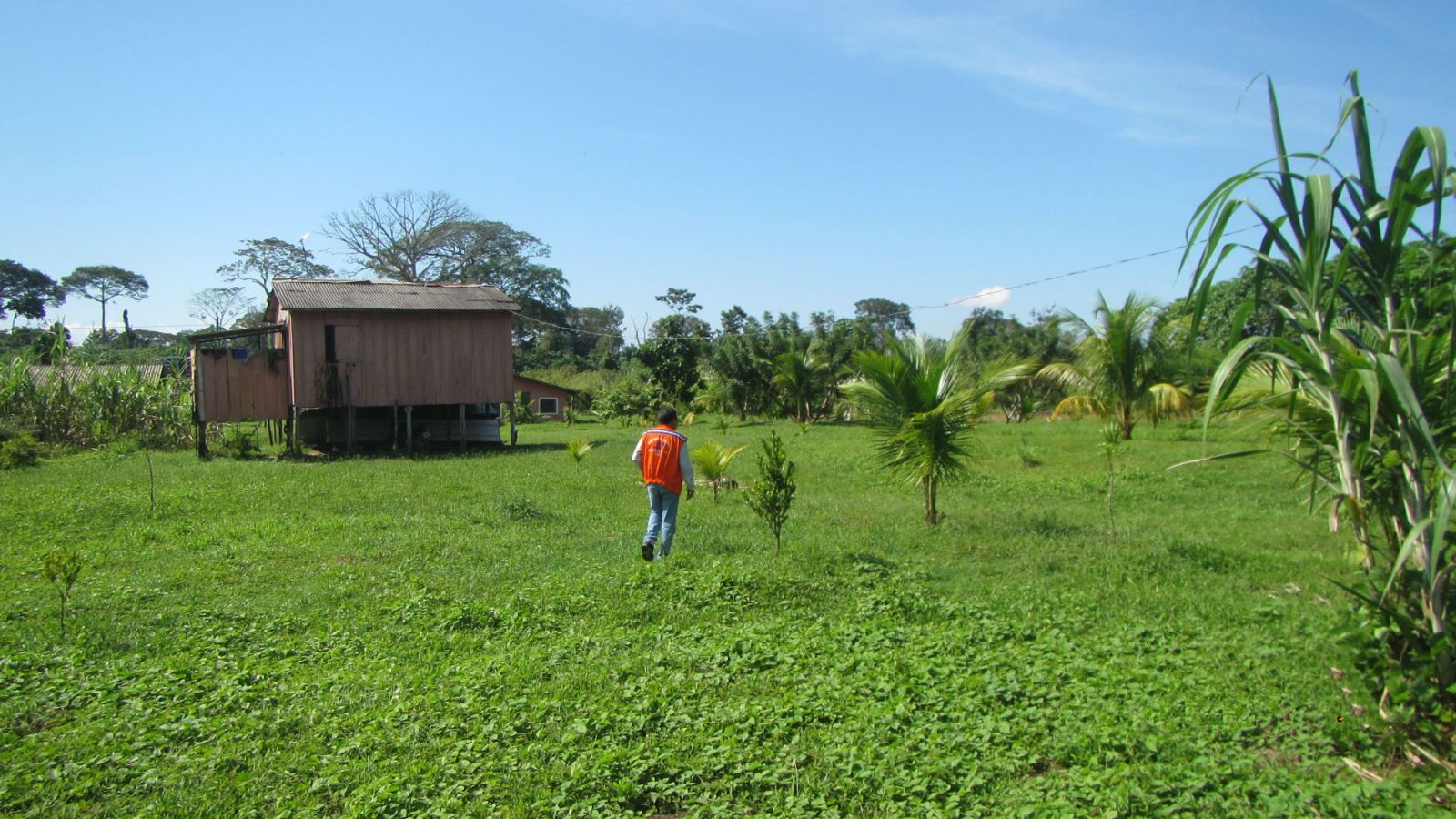 DEFESA CIVIL REALIZA INSPEÇÃO EM RESIDÊNCIAS ATINGIDAS PELA CHEIA DO MADEIRA - News Rondônia