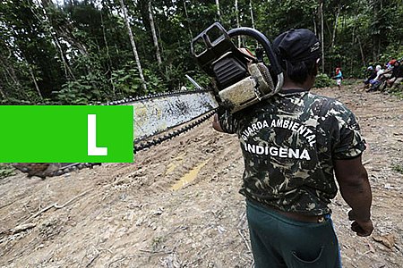 ÍNDIOS RESOLVEM COMBATER DESMATAMENTO E APREENDEM EQUIPAMENTOS NO PARÁ - News Rondônia