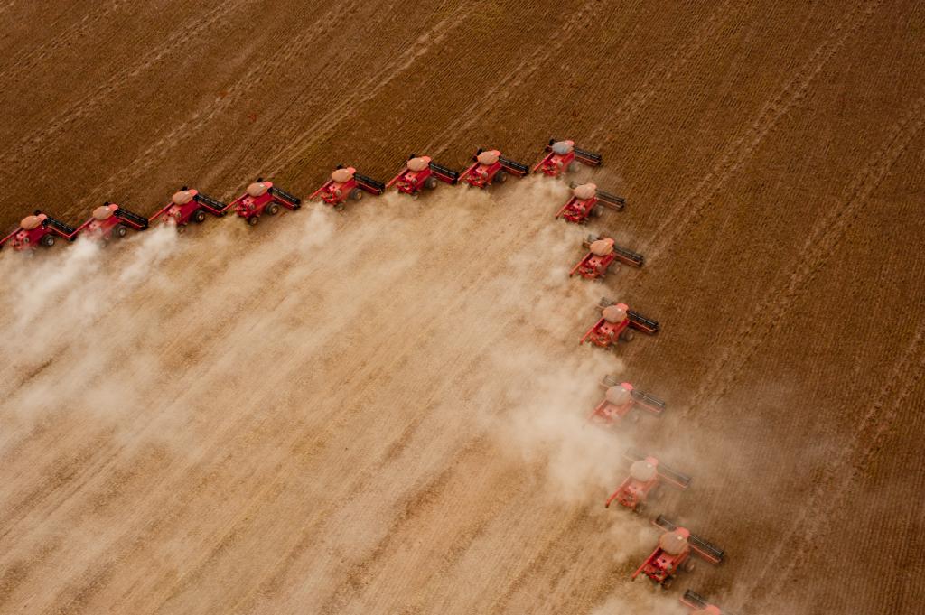 Conab aponta recorde na produção com 273 milhões toneladas de grãos - News Rondônia
