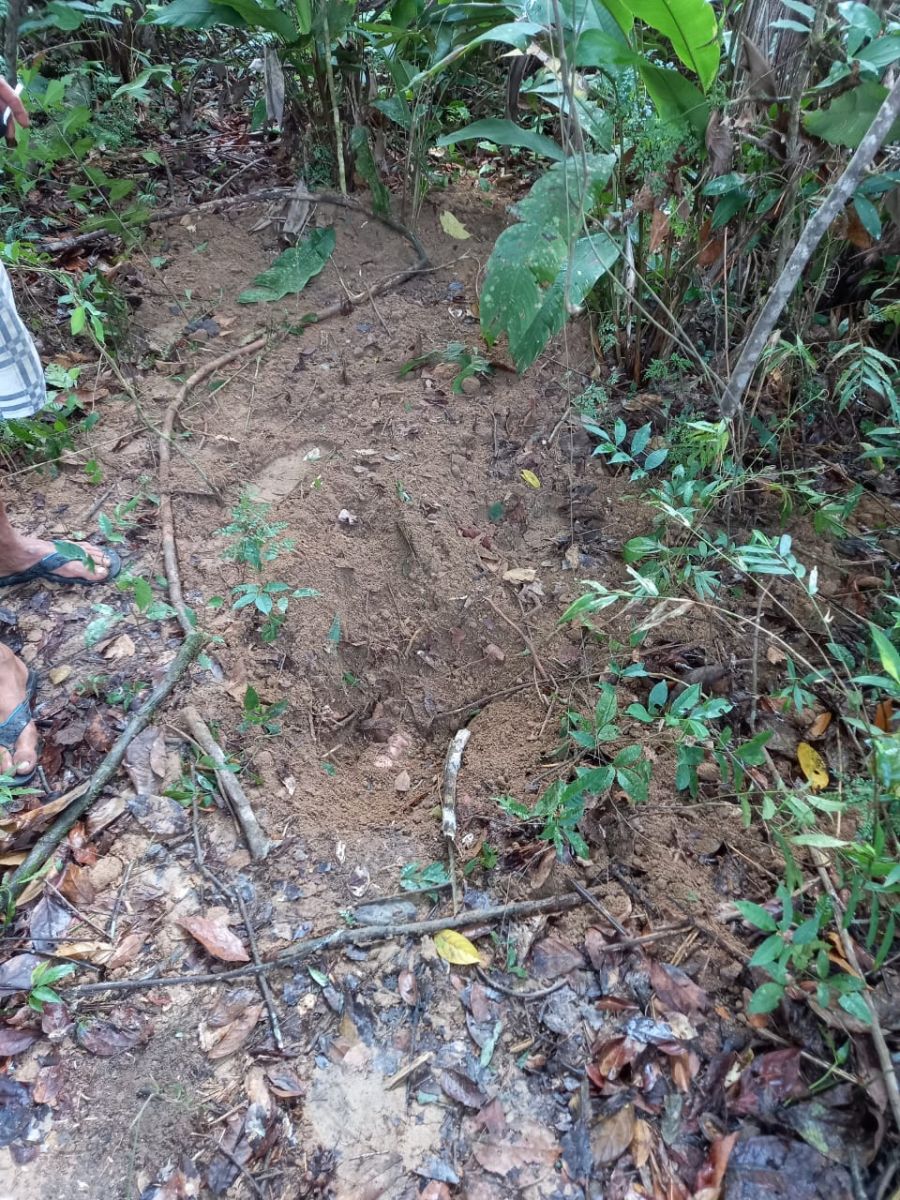 IMAGENS FORTES - Mulher é enterrada viva após denunciar traficantes, no Amazonas - News Rondônia