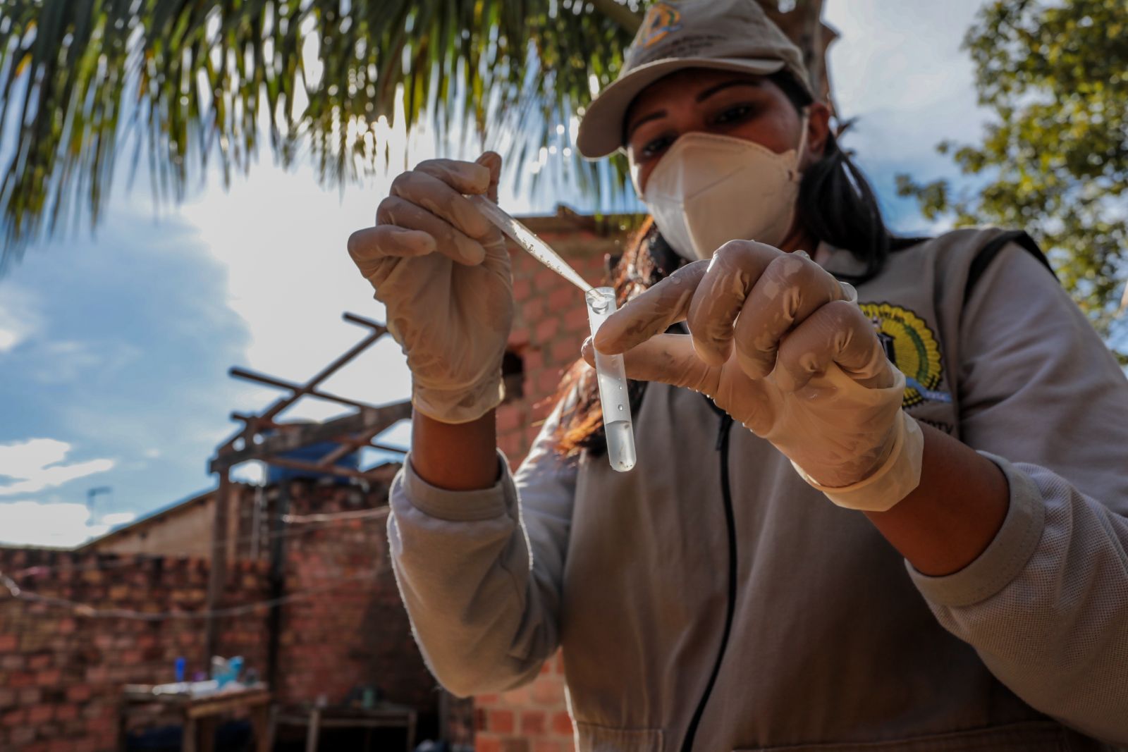 Em ação conjunta, Prefeitura e Base Aérea eliminam focos do Aedes aegypti em Porto Velho - News Rondônia