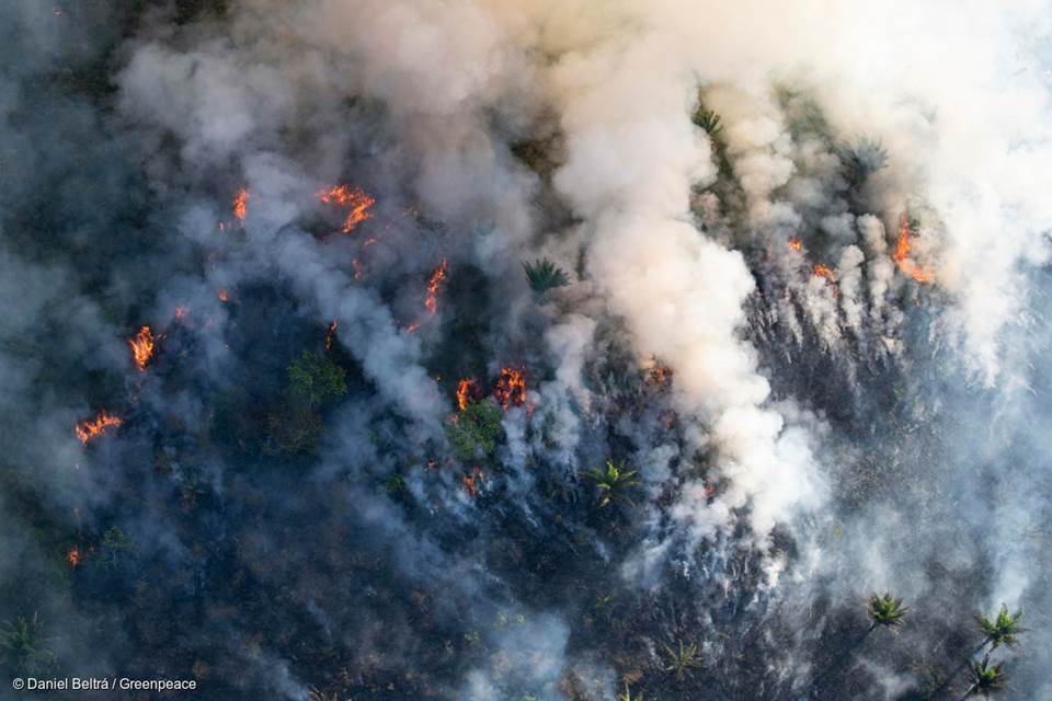 POLÍCIA DO PARÁ IDENTIFICA SUSPEITOS DE PROVOCAR QUEIMADAS NA AMAZÔNIA - News Rondônia