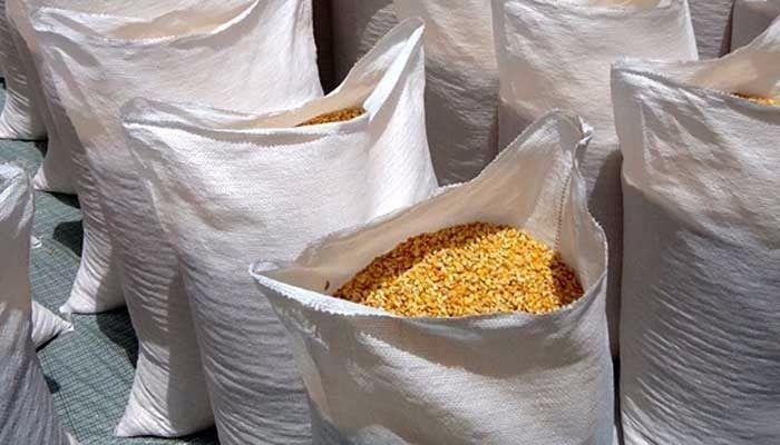 Após trâmites, leilão garante aquisição de 1 mil toneladas de milho para Rondônia - News Rondônia