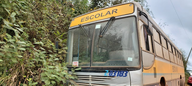 Empresa Freitas Transportes abandona uma frota inteira de veículos da empresa três marias - News Rondônia