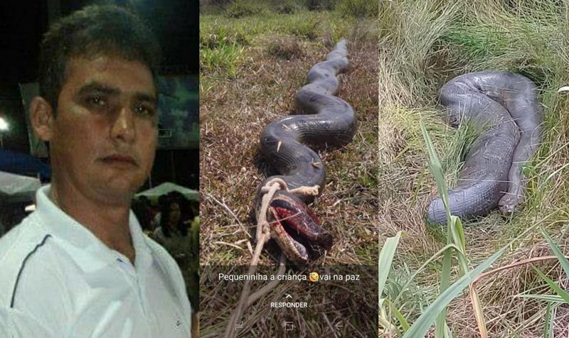 Acreano que desapareceu no Rio Madeira pode ter sido engolido por sucuri gigante - News Rondônia