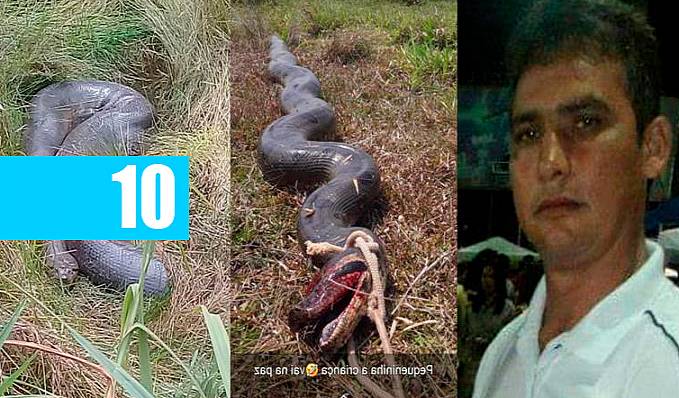 Acreano que desapareceu no Rio Madeira pode ter sido engolido por sucuri gigante - News Rondônia