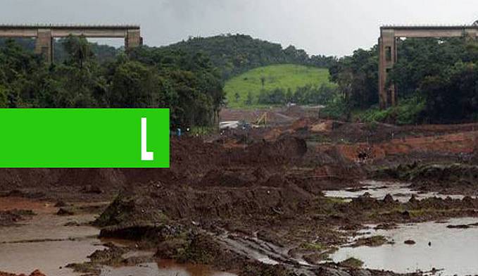 BRUMADINHO: FAMÍLIAS SE RECUSAM A ENTERRAR SÓ FRAGMENTOS DE VÍTIMAS - News Rondônia