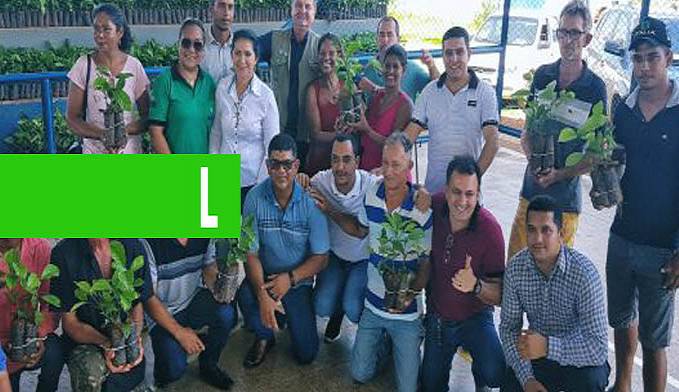 GOVERNO DE RONDÔNIA ENTREGA MAIS DE 12 MIL MUDAS DE CAFÉ CLONAL PARA PRODUTORES DE CANDEIAS DO JAMARI - News Rondônia