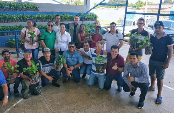 GOVERNO DE RONDÔNIA ENTREGA MAIS DE 12 MIL MUDAS DE CAFÉ CLONAL PARA PRODUTORES DE CANDEIAS DO JAMARI - News Rondônia