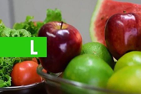 PROJETO DE SAÚDE E QUALIDADE DE VIDA DESTACA, PARA A SEMANA DA CRIANÇA, DICAS DE ALIMENTAÇÃO - News Rondônia
