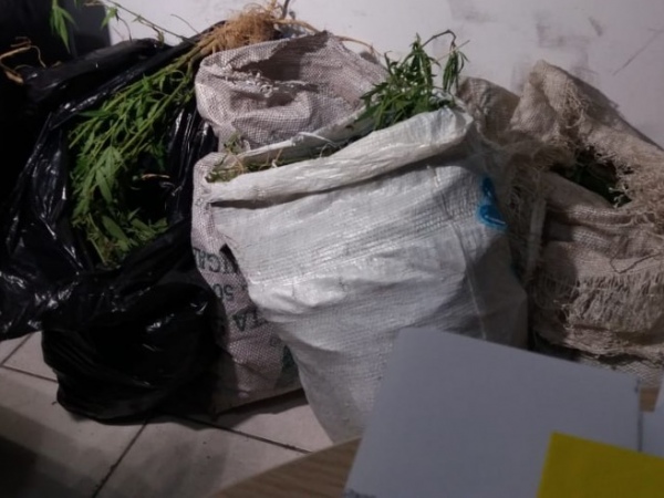 VERGONHA - Pela segunda vez, pastores são presos cultivando maconha - News Rondônia
