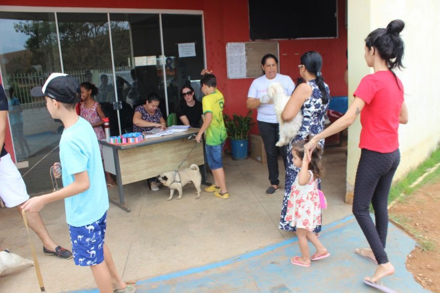 VACINAÇÃO CONTRA RAIVA ACONTECE NESTE SÁBADO EM CÃES E GATOS, VEJA LOCAIS - News Rondônia