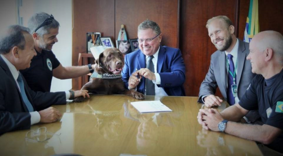PORTARIA DO MAPA REGULAMENTA FISCALIZAÇÃO COM CÃES E CRIA CENTRO DE TREINAMENTO - News Rondônia