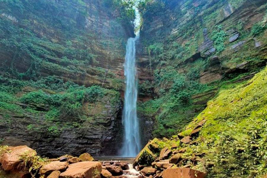 Alto Alegre dos Parecis completa 27 anos e se destaca pela produção de café, tomate e ecoturismo - News Rondônia