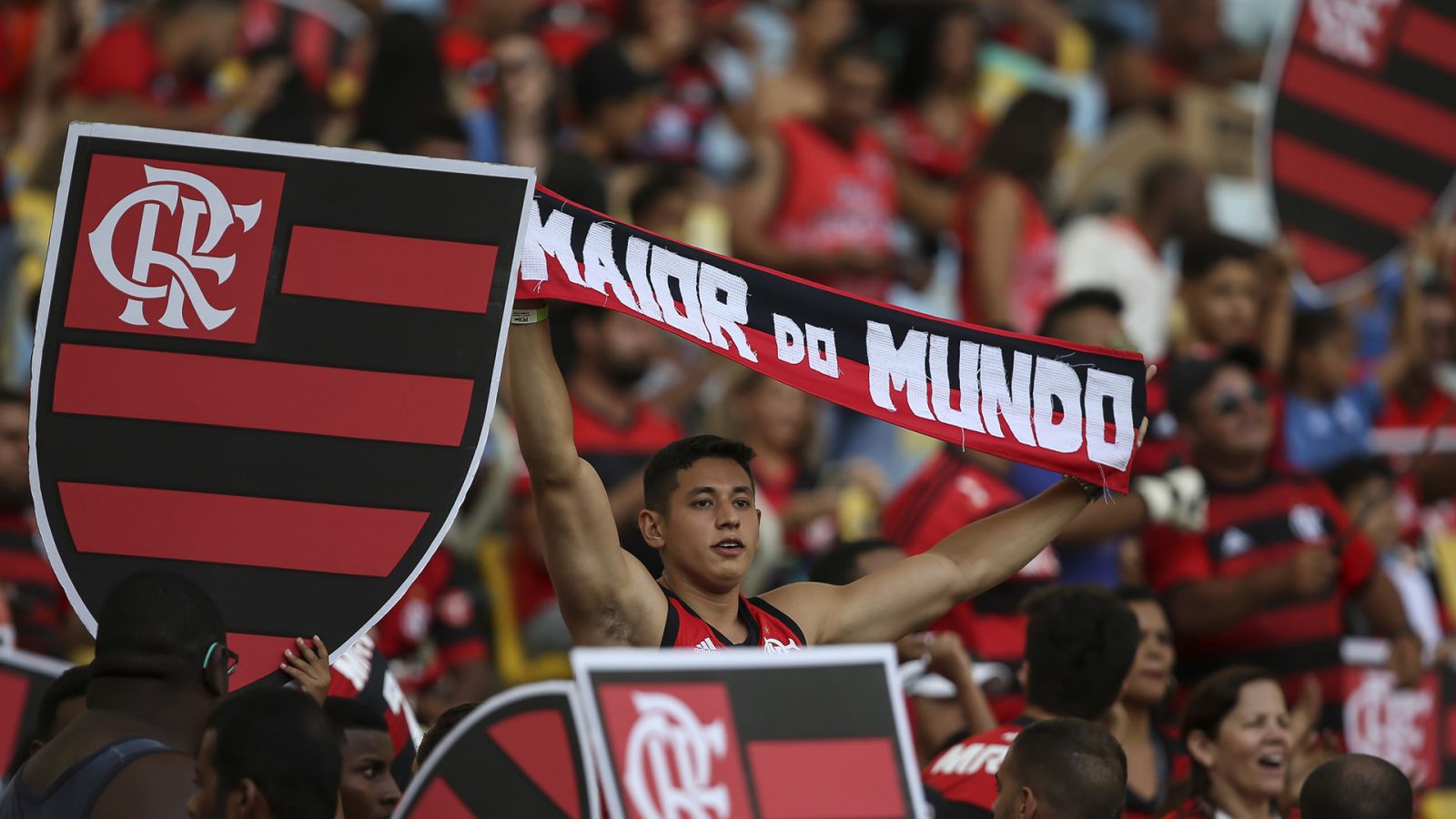 LENHA NA FOGUEIRA: CAMPEÃO DAS AMÉRICAS - News Rondônia