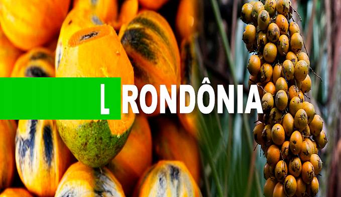 MINHA AMADA RONDÔNIA - POR ANÍSIO GORAYEB - News Rondônia