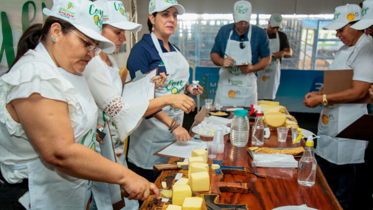 Região Madeira Mamoré se destaca no 2° Concurso ConQueijo e leva nove dos 15 prêmios - News Rondônia