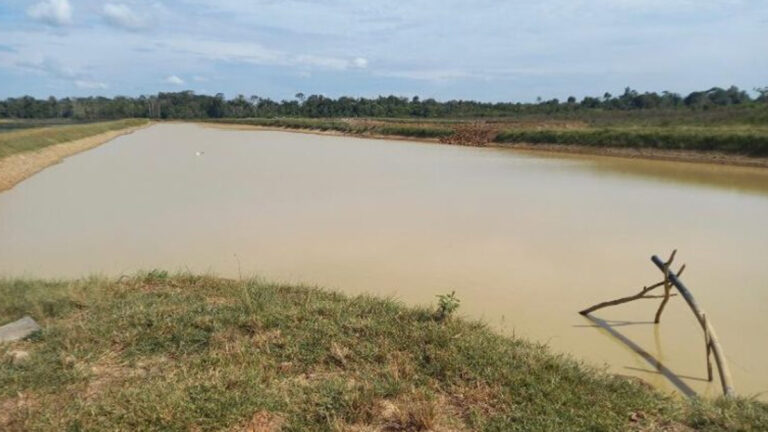 Atividade de irrigação de lavouras de café clonal em Alta Floresta D’Oeste recebe visita técnica