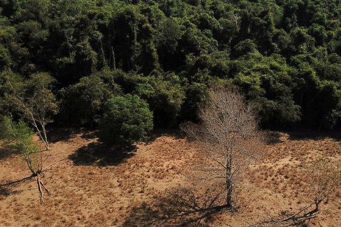 Brasil registra alta na emissão de gases de efeito estufa - News Rondônia