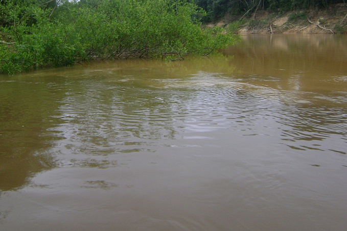 Encontro das águas, por Marquelino Santana - News Rondônia