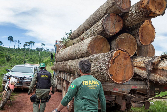 Ibama: Grupo vai fiscalizar fraudes em sistemas de controle florestal - News Rondônia