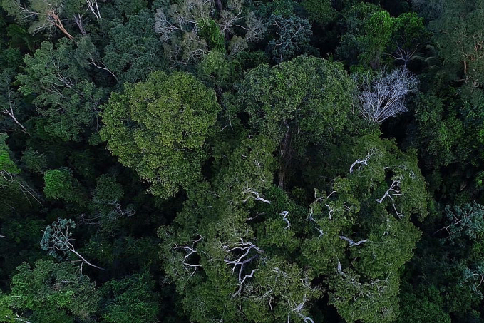 Na COP27, Brasil lista ações de sustentabilidade dos últimos 4 anos - News Rondônia