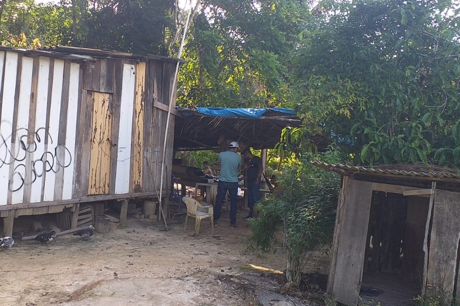 Briga por causa de porcos termina com homem morto a golpes de foice na cabeça - News Rondônia