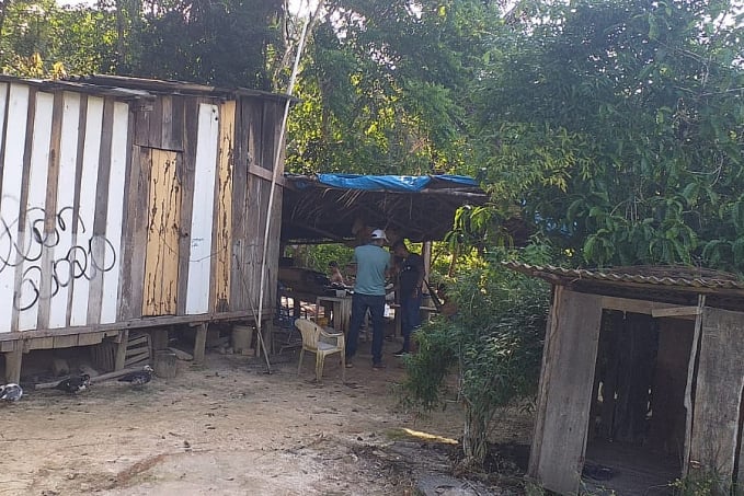 Briga por causa de porcos termina com homem morto a golpes de foice na cabeça - News Rondônia