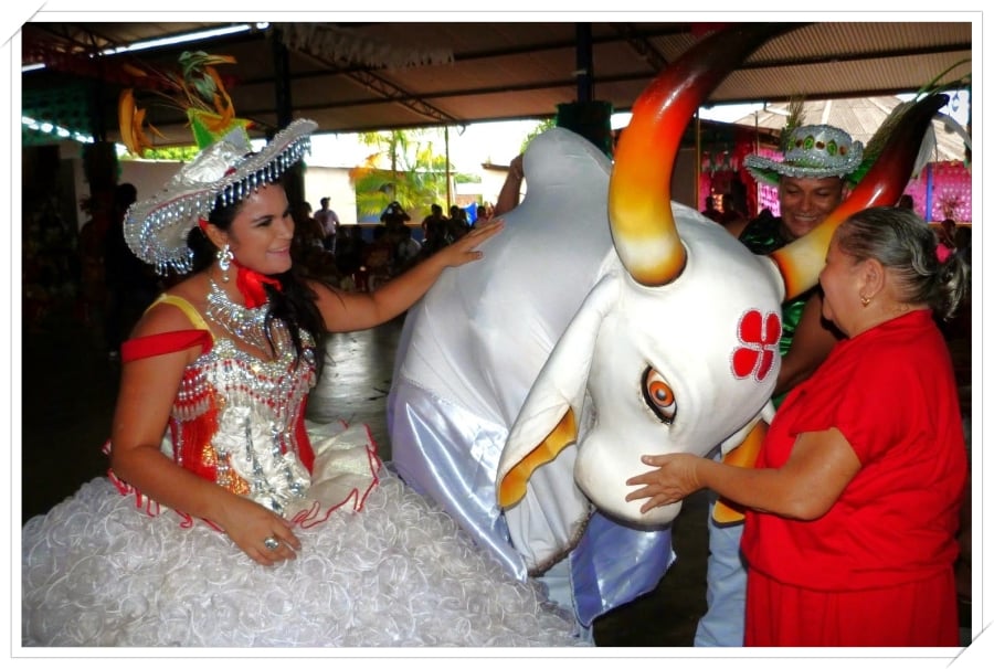 Com limpeza dos barracões, brincantes apostam no retorno de Malhadinho e Flor do Campo - News Rondônia
