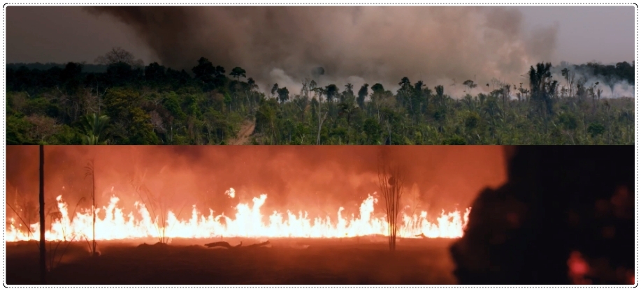 Avant Premiére: real, comovente e marcante, assim é 'O Território', premiado filme rondoniense que estreou no Brasil - News Rondônia