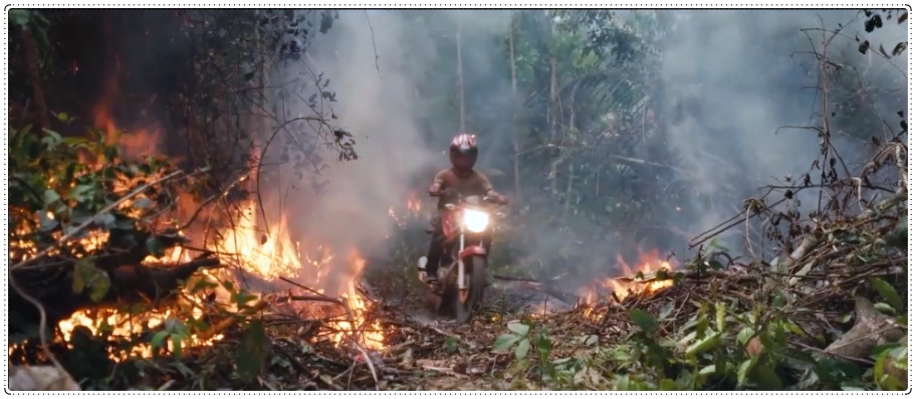Avant Premiére: real, comovente e marcante, assim é 'O Território', premiado filme rondoniense que estreou no Brasil - News Rondônia
