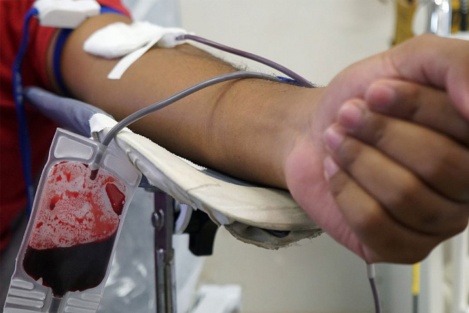 Triagem de sangue em hemocentros terá teste de malária - News Rondônia