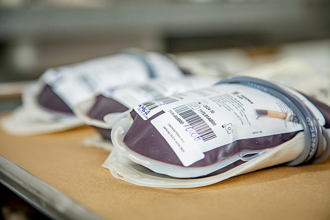 Campanha Jaru Salvando Vidas coletou quase 200 bolsas de sangue - News Rondônia