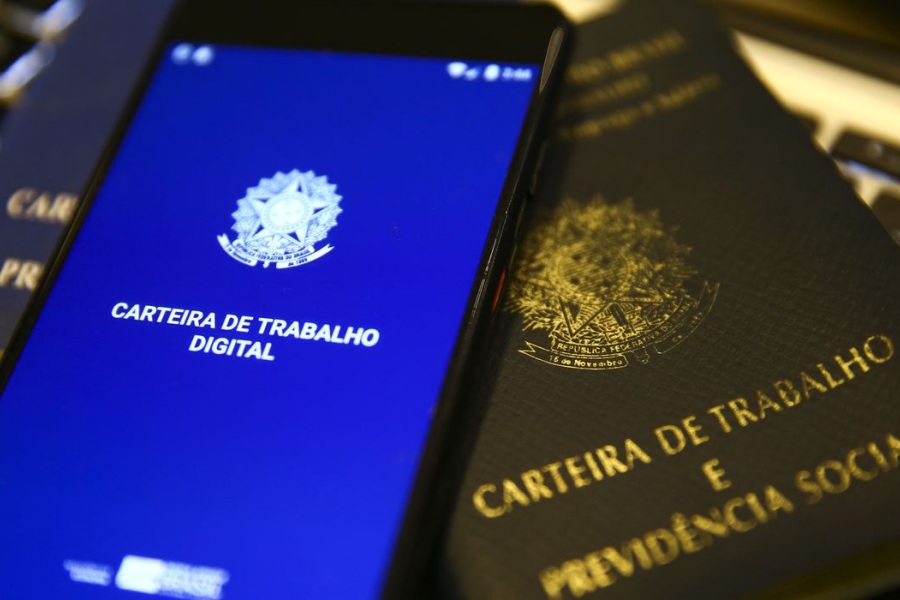 Desemprego registra queda em 22 unidades da federação - News Rondônia