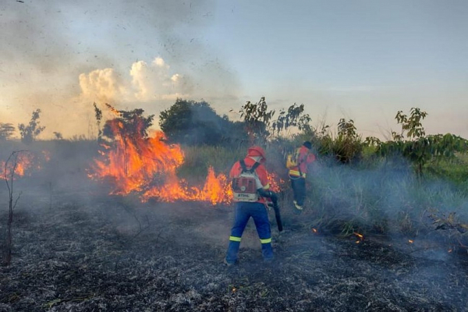 Rondônia intensifica prevenção e aumenta potencial de combate a incêndios florestais - News Rondônia