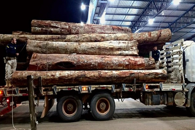 Em Rondônia, PRF identifica transportes irregulares de madeira - News Rondônia