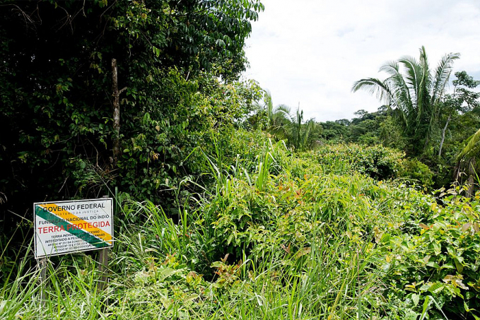 BNDES avalia concessão ambiental com pagamento para conservação - News Rondônia