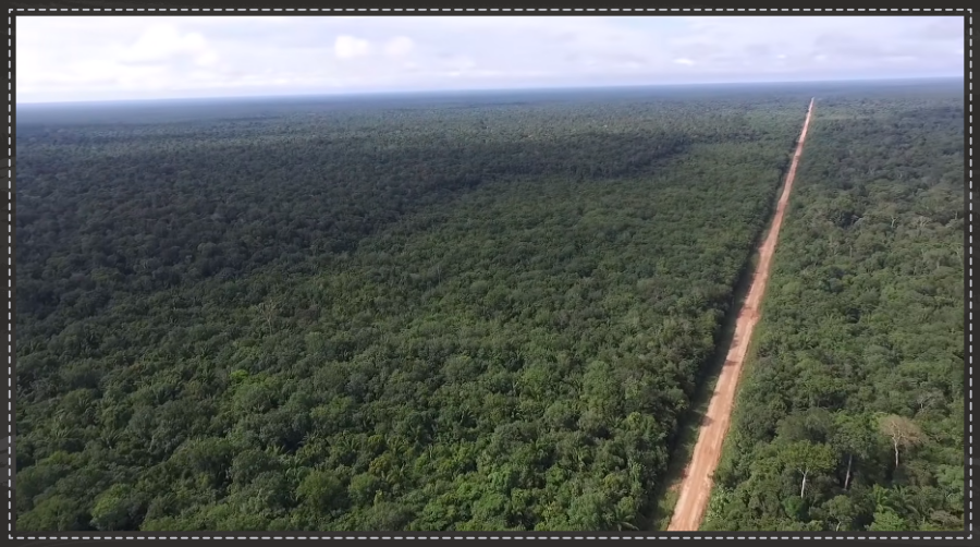LP concedida pelo Ibama para a reconstrução da BR-319 é apontada como favorecimento eleitoral; MPF pede explicação ao órgão - News Rondônia