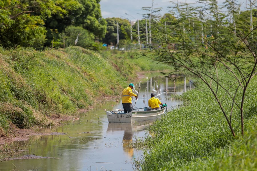 Prefeitura dá continuidade às ações de identificação e recuperação de Áreas de Preservação Permanente - News Rondônia