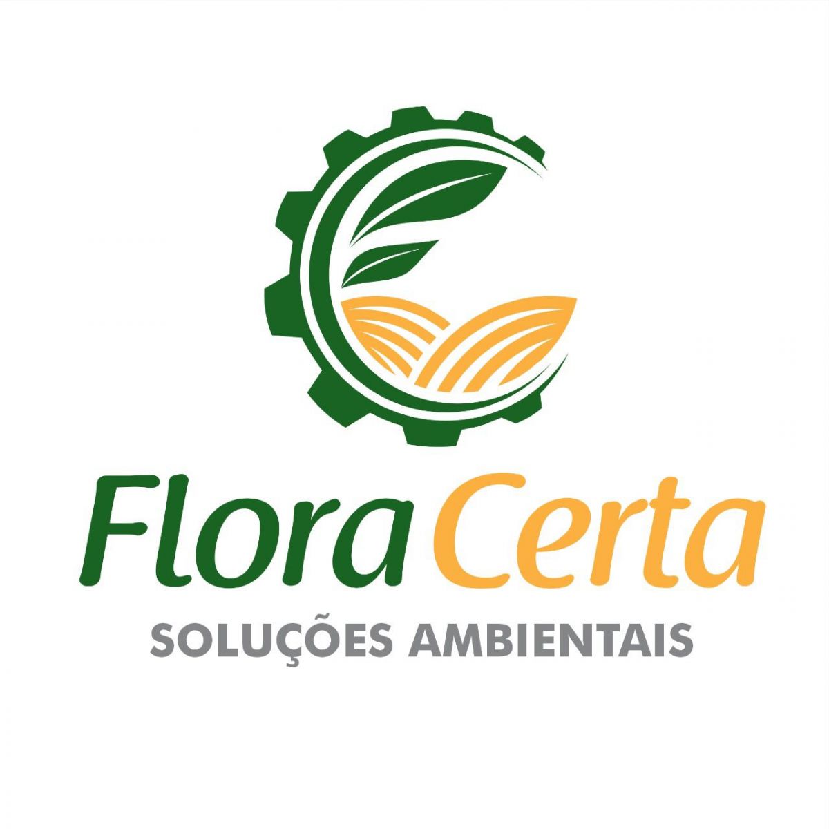 Requerimento de Renovação da Licença Ambiental: F. V DE FREITAS EIRELI - News Rondônia