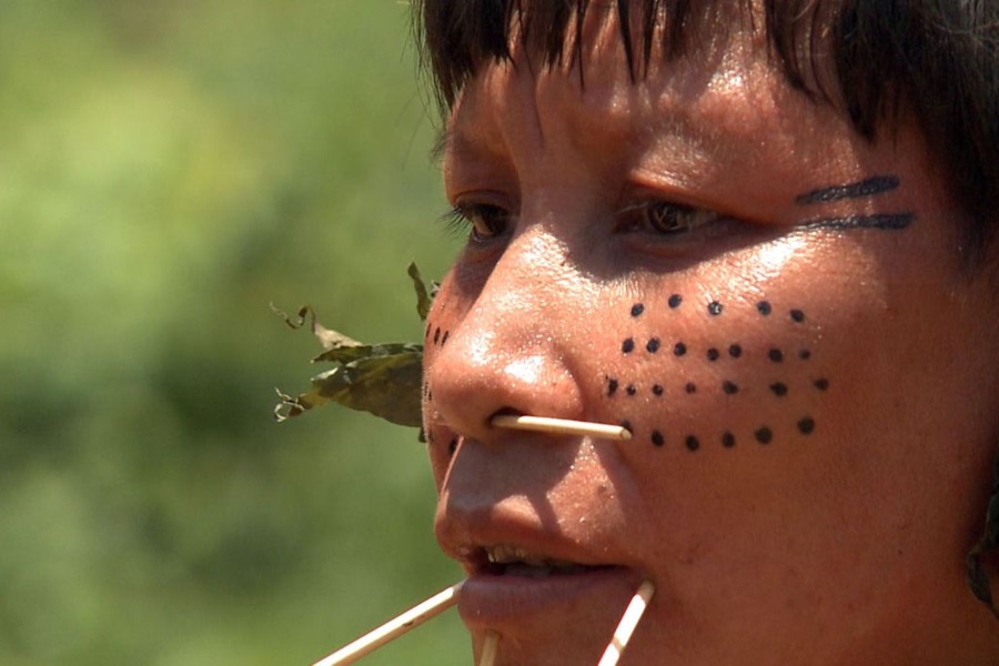 Força-tarefa inutiliza 272 acampamentos de garimpo na Terra Yanomami - News Rondônia