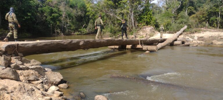 ANHANGÁ: PF deflagra operação para combater crimes ambientais em Rondônia