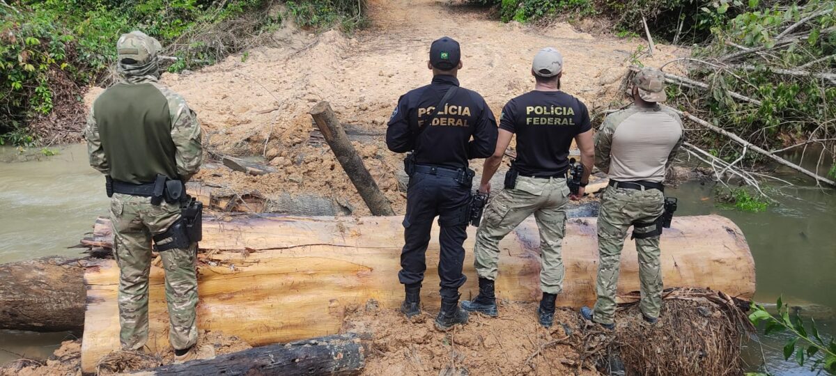 BORDA DE PROTEÇÃO: PF deflagra operação na Terra Indígena Karipuna