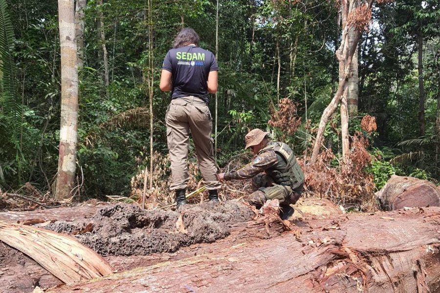PMRO e SEDAM desarticulam extração ilegal de madeira no entorno da ESEC SAMUEL e apreendem armas - News Rondônia