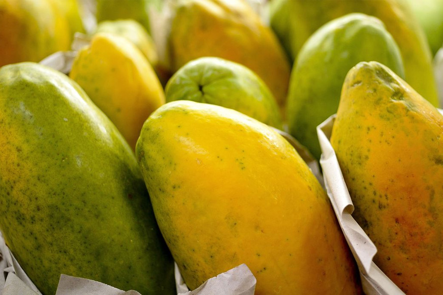Governo prorroga prazo para cadastro na Agricultura Familiar - News Rondônia